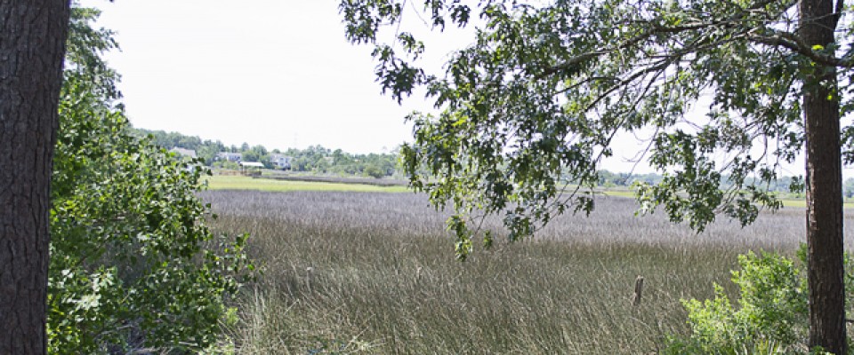 Beautiful Marsh Views Available